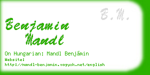 benjamin mandl business card